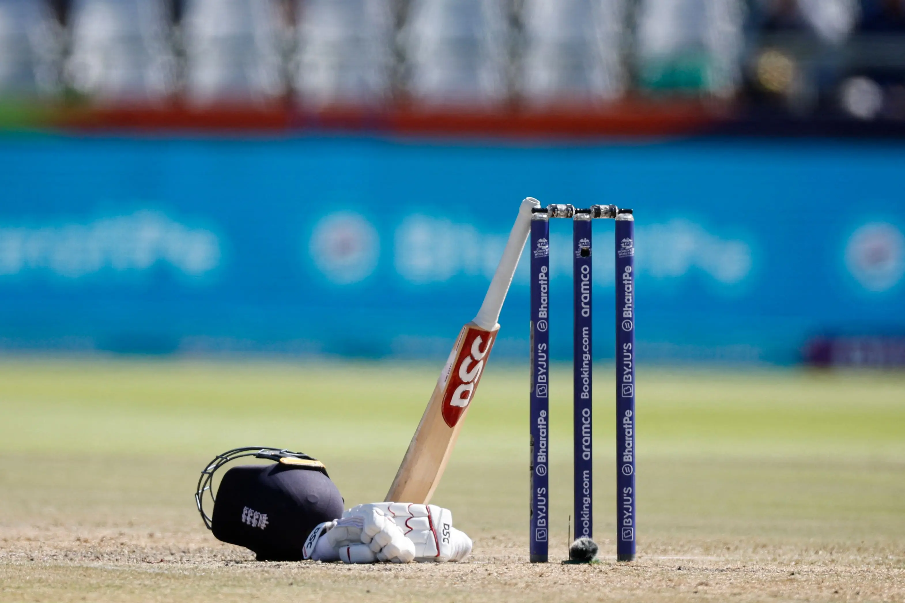 Cricket action